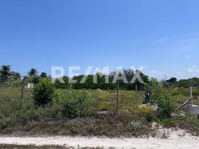 Remate de terrenos en CHELEM puerto 500m2 disponibles