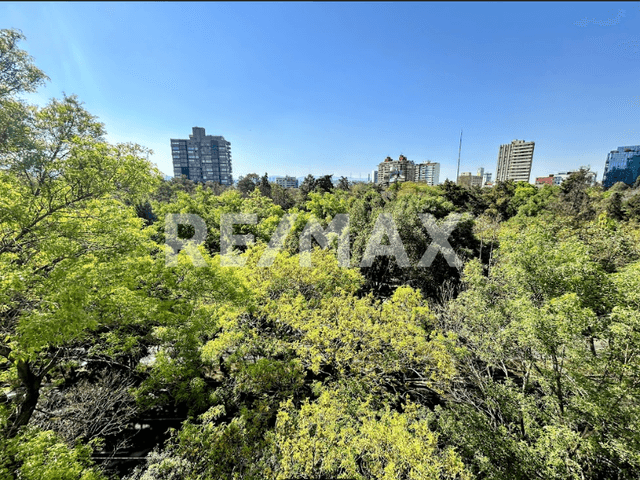 OFICINA EN RENTA EN AV. INSURGENTES SUR, TLACOQUEMECATL DEL VALLE, BENITO JUAREZ