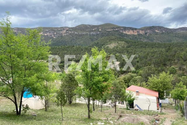 Finca/Rancho en Venta - 5