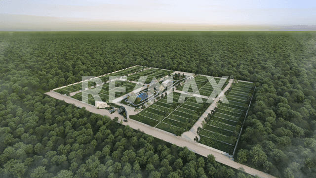 TERRENO EN VENTA EN CHELEM, ESTADO DE YUCATAN