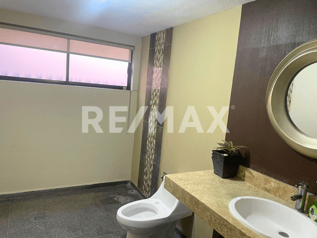 Local - Comercial en Renta - 5