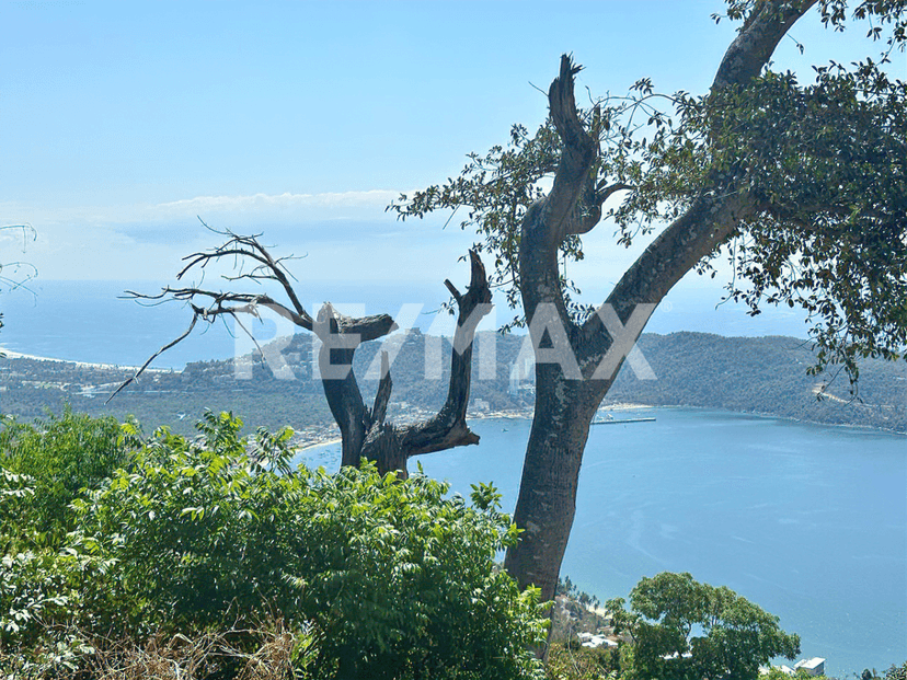 Gallery preview 2