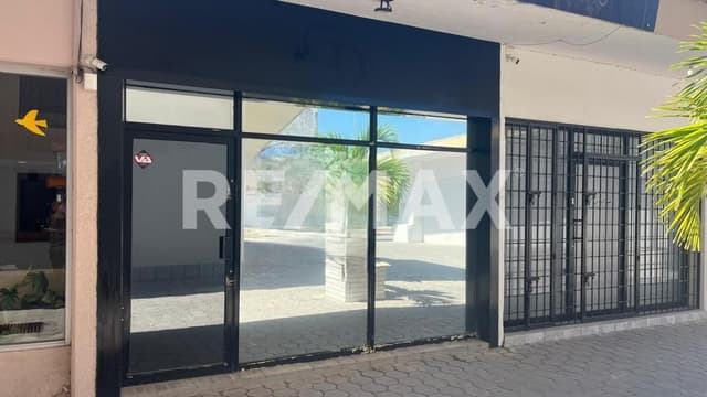 Renta Local Plaza Palmas