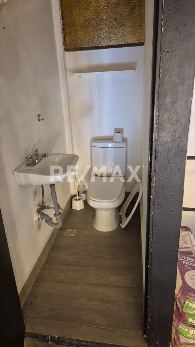 Renta Local Plaza Palmas