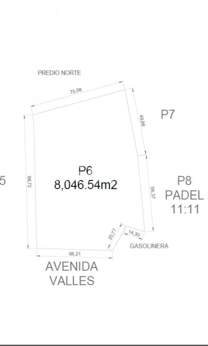 Gallery main