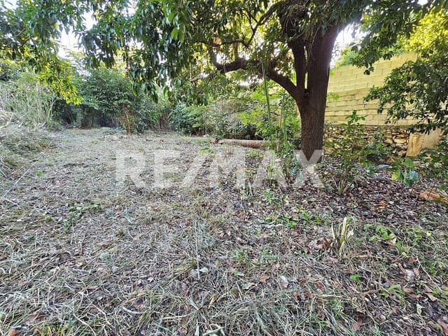 Terreno en venta en el centro de Mérida