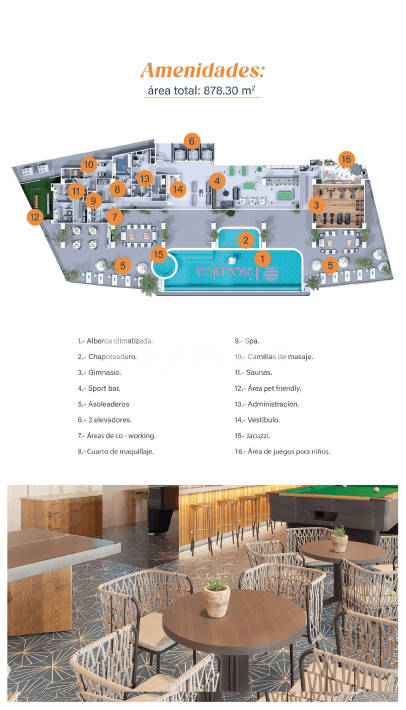 DEPARTAMENTOS ESCENICA CLAUSEN LIVING