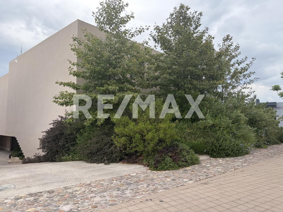 Fotos adicionales