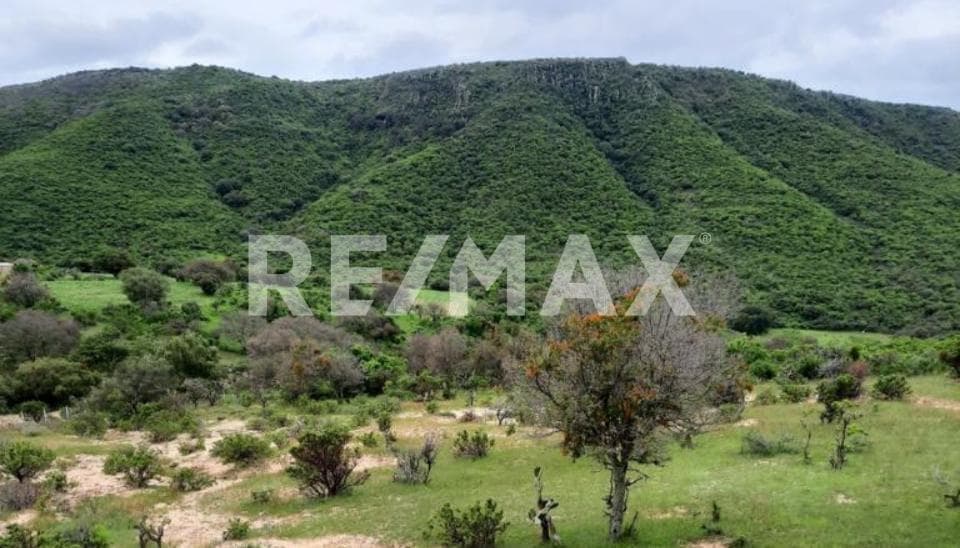 Fotos adicionales