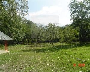 Terrenos en Venta en San Pedro El Álamo