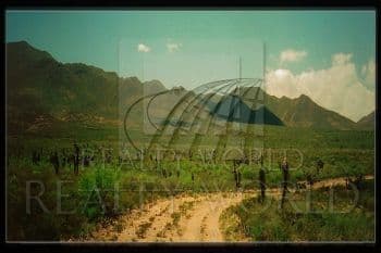 property image preview0