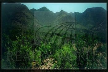 Terrenos en Venta en Sin Colonia