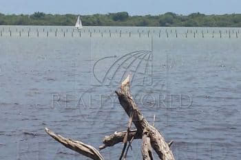 property image preview0