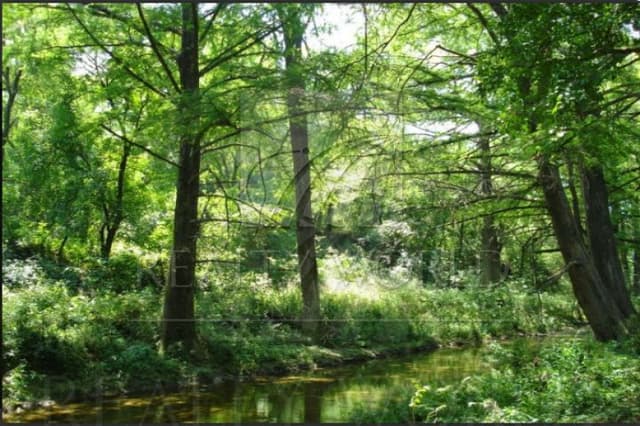 Terrenos en Venta en Congregación Calles