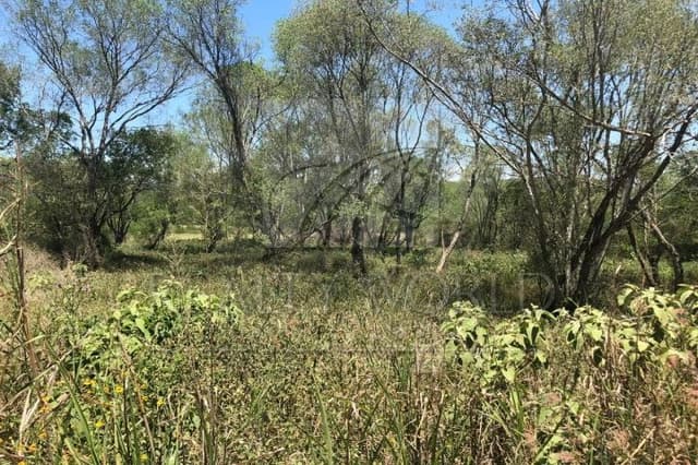 Terrenos en Venta en Congregación Calles