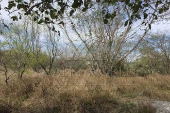 Venta de Terrenos en Salinas Victoria