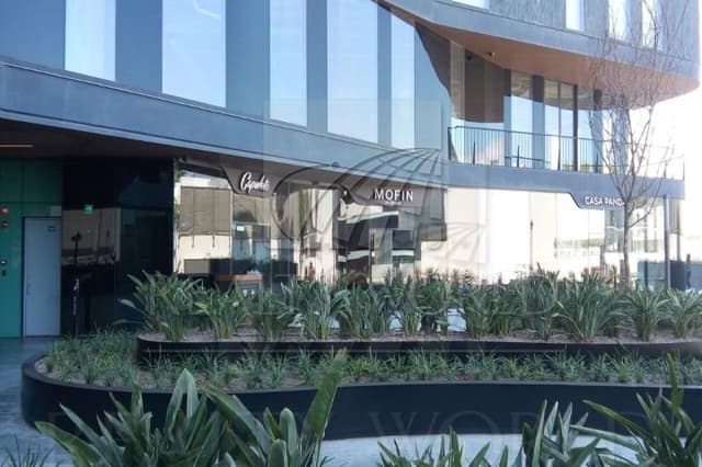 Oficinas en Renta en Cortijo Del Valle