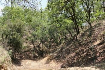 Quintas en Venta en San Pedro El Álamo