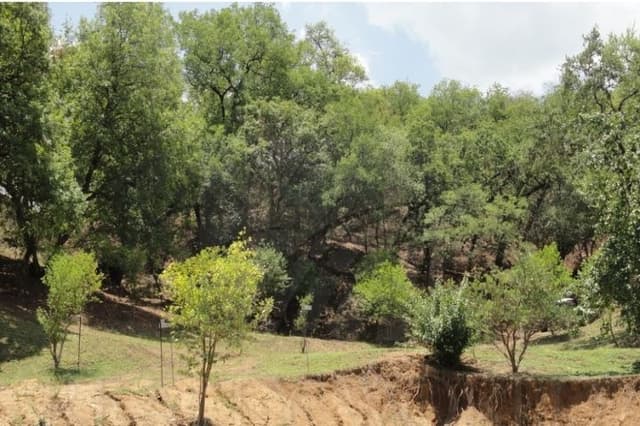 Quintas en Venta en San Pedro El Álamo