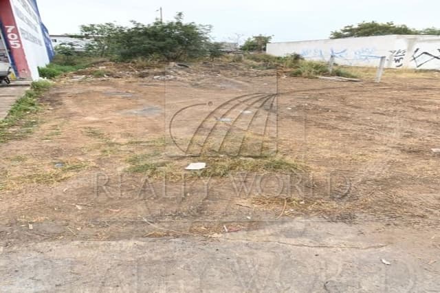 Terrenos en Renta en La Alianza P-128