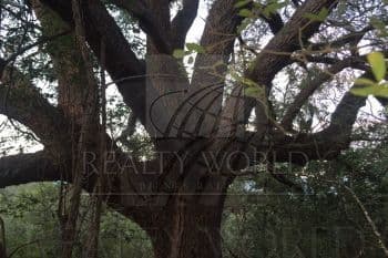 property image preview1