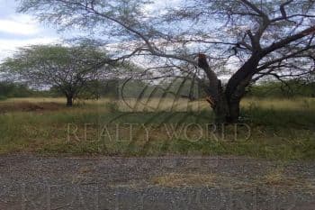 Venta de Terrenos en Cadereyta Jiménez