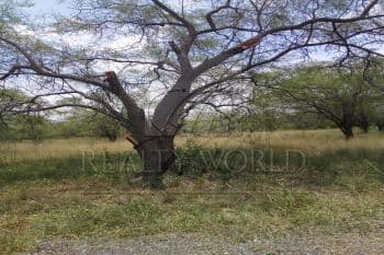 property image preview0