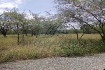 property image preview1