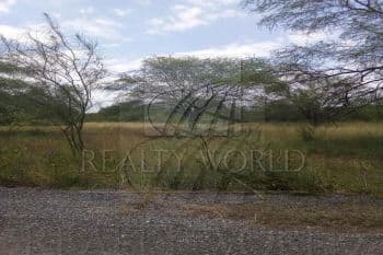 Venta de Terrenos en Cadereyta Jiménez