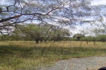 Venta de Terrenos en Cadereyta Jiménez