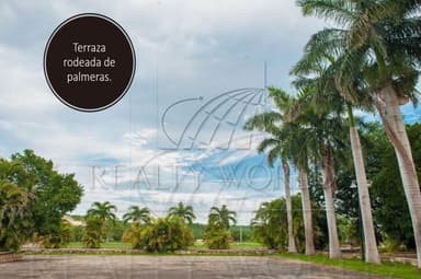 property image preview0