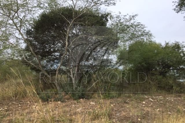 Venta de Terrenos en Allende
