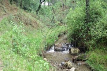 Venta de Terrenos en Donato Guerra