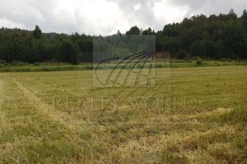 property image preview1