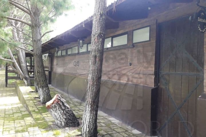 Fotos adicionales