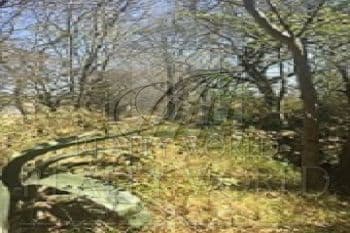 Venta de Terrenos en Toluca