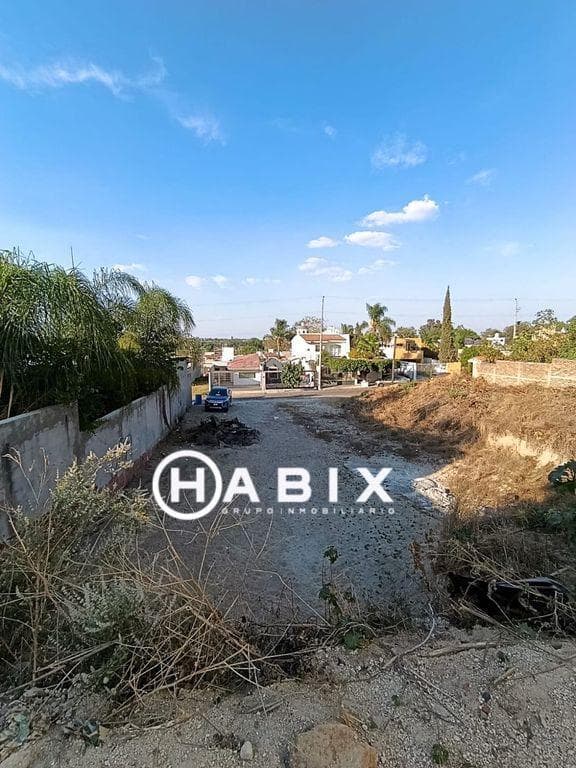 Gallery preview 3