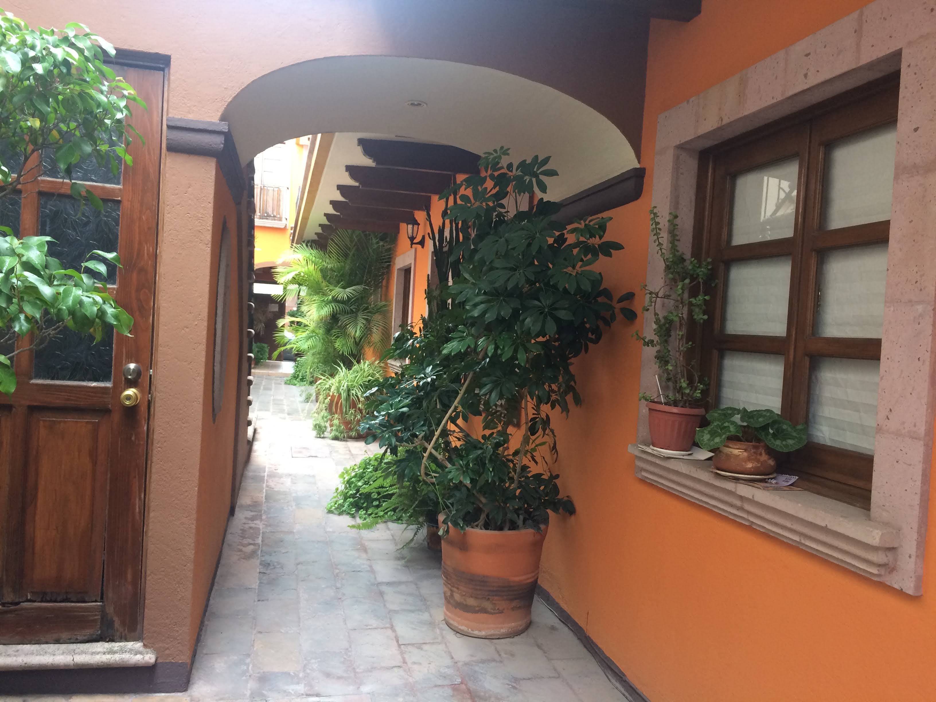 Fotos adicionales