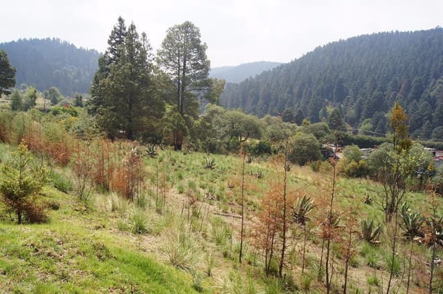 Cañada de Alferez Terreno en para Desarrollo Habitacional.
