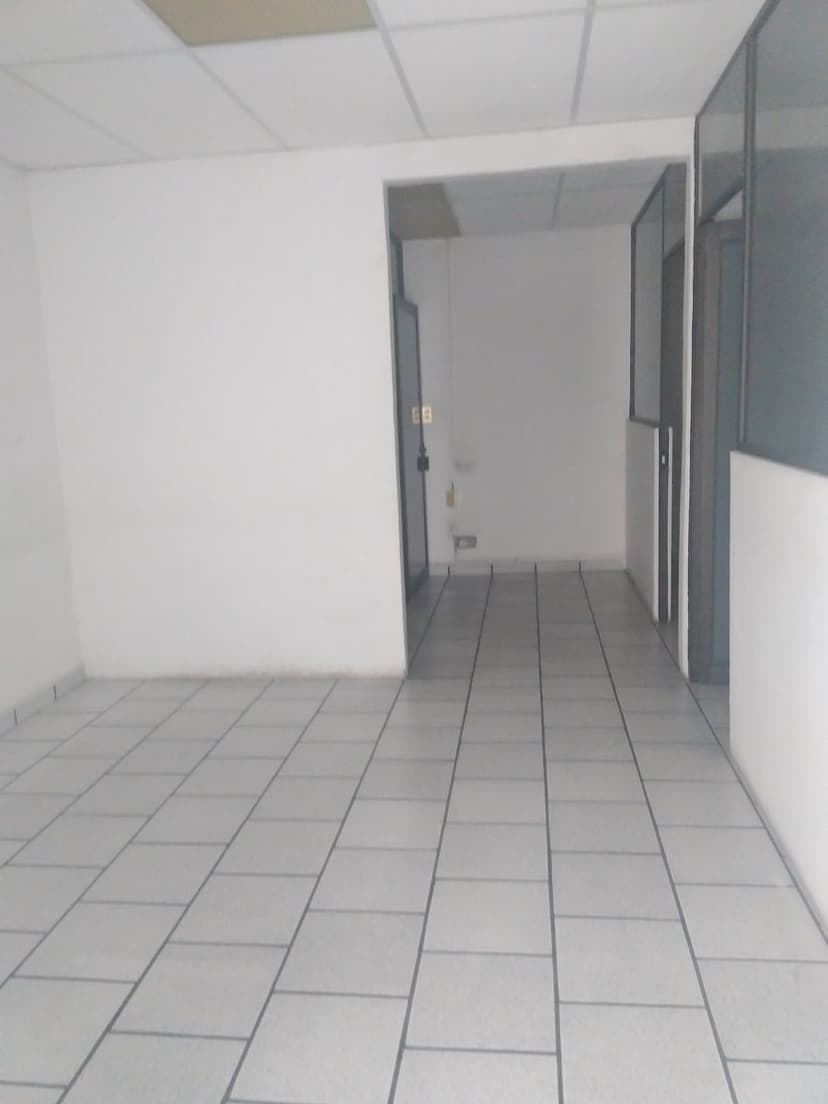 Gallery main