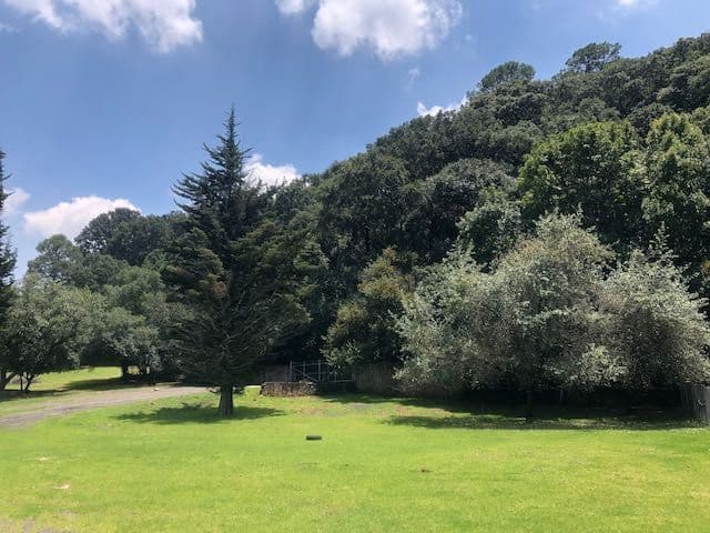 Gallery preview 2