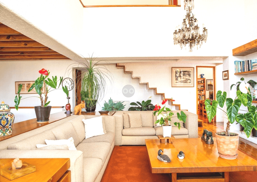 Gallery preview 2