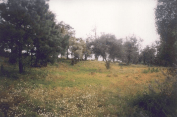Gallery main