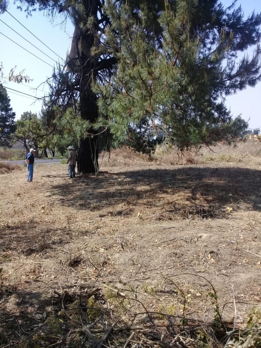 Fotos adicionales