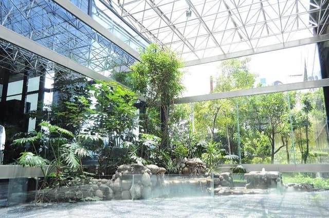 Oficinas Corporativas en Renta Álvaro Obregón, Jardines del Pedregal