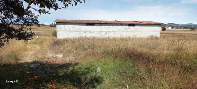 VENTA TERRENO APIZACO, TLAX