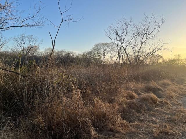 Terreno en venta en Temozón  Norte