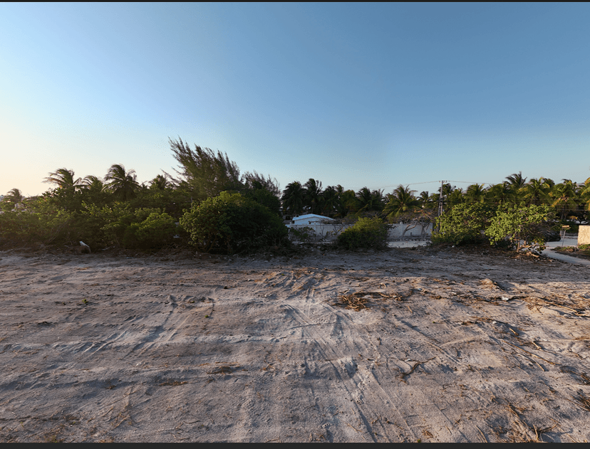 Gallery preview 2