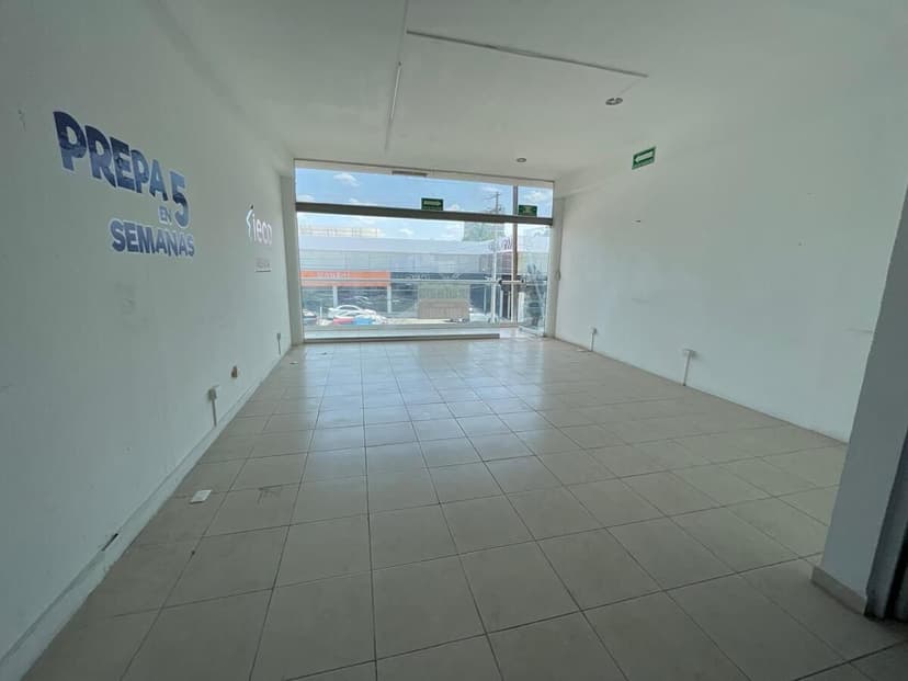 Gallery main