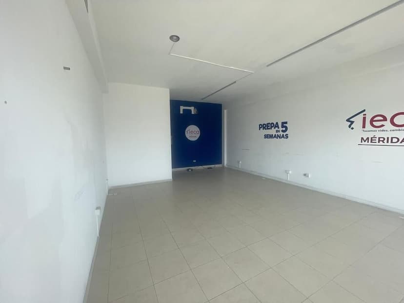 Gallery preview 2